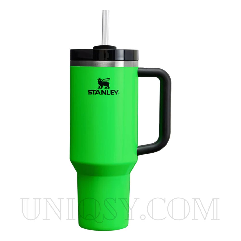 Stanley 40 OZ Tumbler Cup with Handle and Straw
