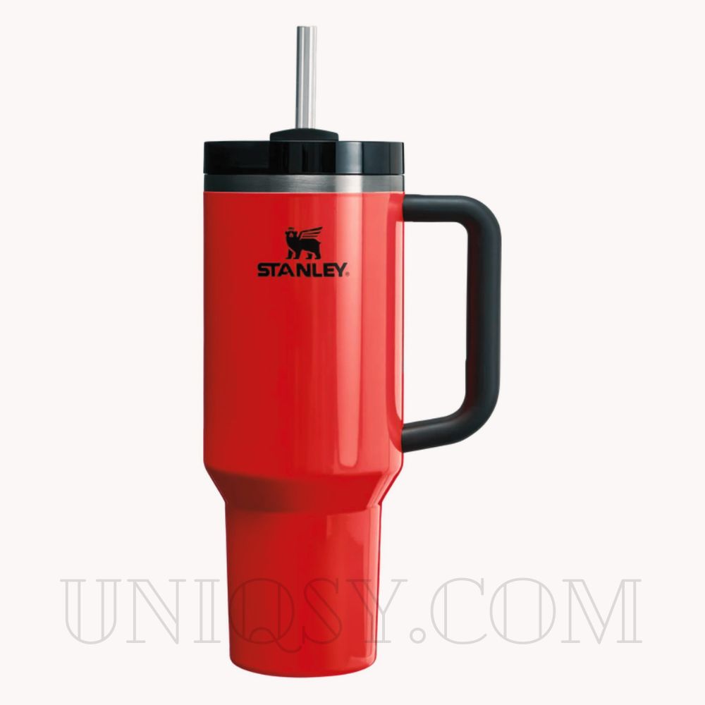 Stanley Tumbler with Handle & Straw Lid - Stainless Steel, Vacuum Insulated, Thermal Iced Travel Mug (40 OZ)
